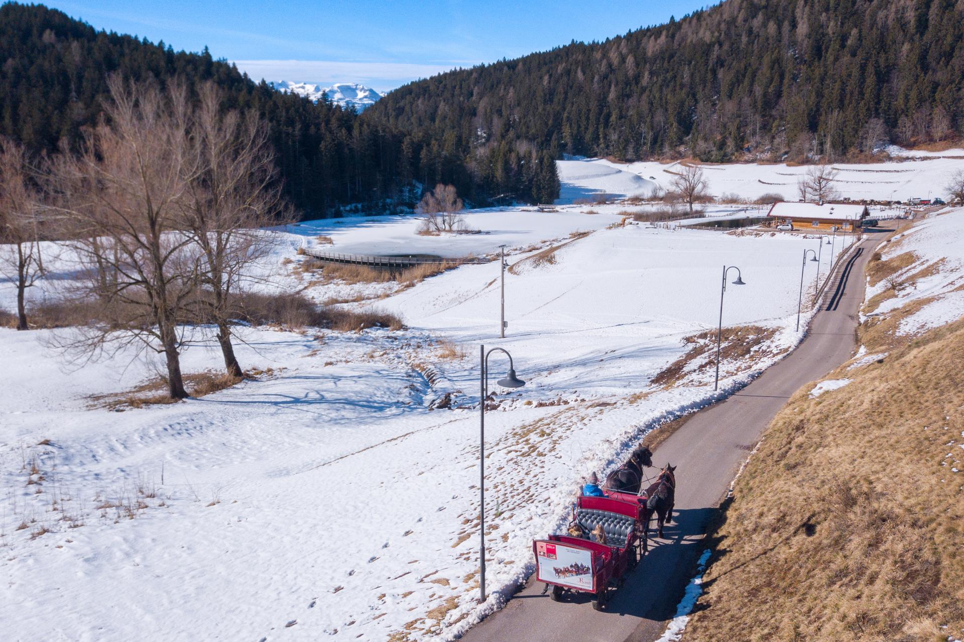 Giro_in_carrozza-_inverno-AptValdiNon-Lauregno-DJI_0177.jpg