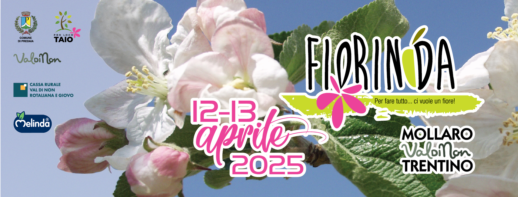 banner_Fiorinda_2025.jpg